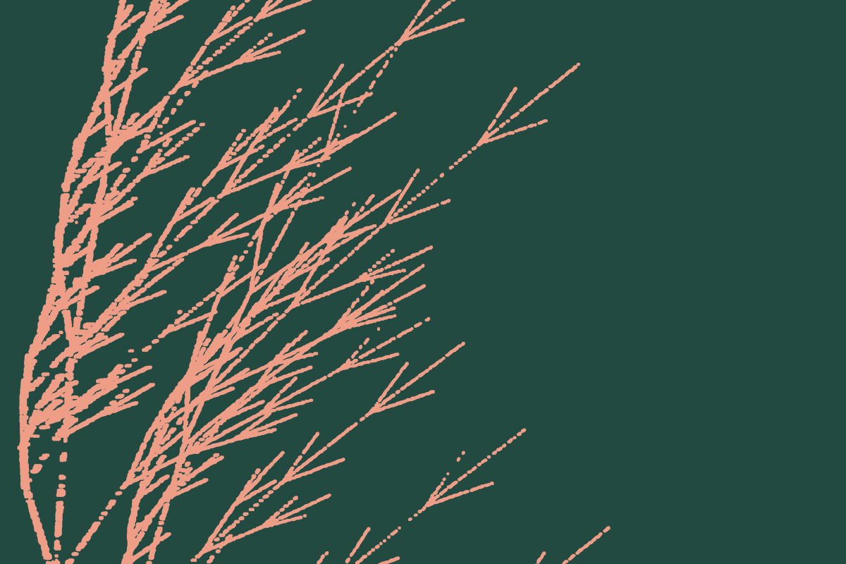 CEO Marc on The Information TV